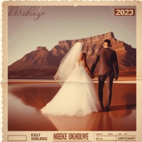 Ngeke Ukholwe (feat. R-Kay, Soulking & Gareth Harvey) - Single - Mshizo