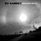 Wounded Dog (feat. Mark Knopfler) - Bo Ramsey lyrics