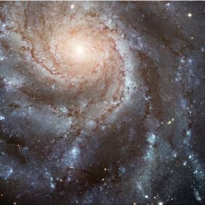 Some different (feat. HL Hoodie) - Single