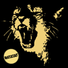 Classics - Ratatat