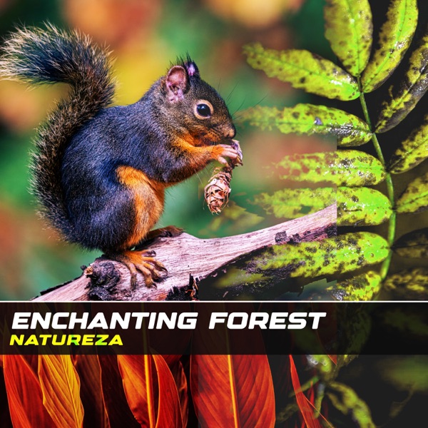 Enchanting Forest