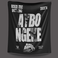 Aybo Ngeke - Single - Breeze Zulu Bass King & 808RSA