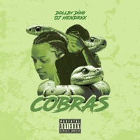 Cobras - Single - Dollby Ding & OJ HENDRXX