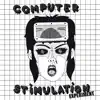 Computer Stimulation Experiment