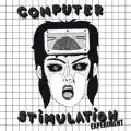 Computer Stimulation Experiment