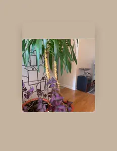 Hör dir The Liar Project an, schau dir Musikvideos an, lies die Biografie, finde Tourdaten und mehr!