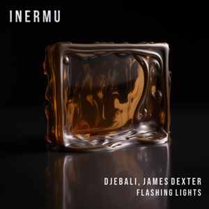 Flashing Lights - Single