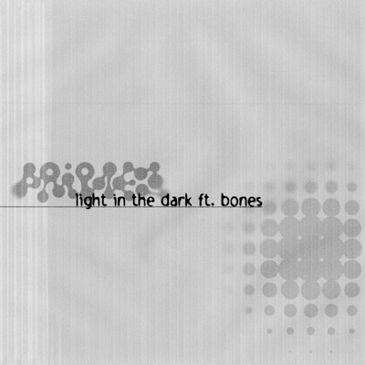 Light in the Dark (feat. BONES) - Single