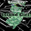 Island Girl (feat. AfriKing) - Single