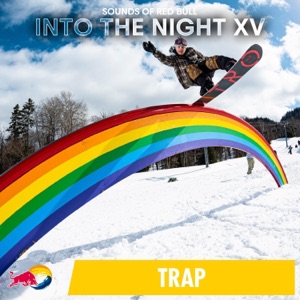 Into the Night XV - EP