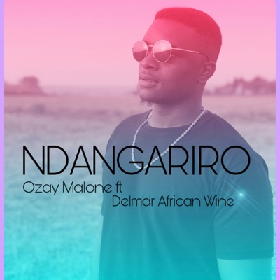 NDANGARIRO (feat. Delmar African Wine) - Single