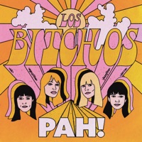 Los Bitchos Ablum Cover