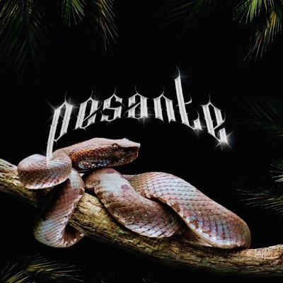 PESANTE - Single