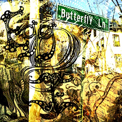 ButterflY Ln - EP