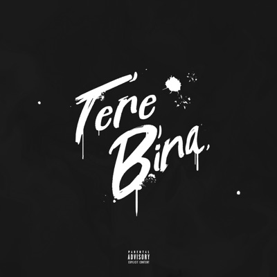 Tere Bina - Single