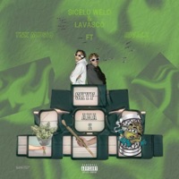 Skyf Ama 2 (feat. TNK MusiQ, RIVALZ & Lavasco) - Single - Sicelo Welo
