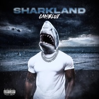 Sharkland - OmsBlue