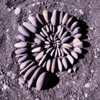 Passion - Single - Message North