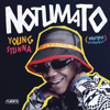 Young Stunna - Adiwele (feat. Kabza De Small & Dj Maphorisa) artwork