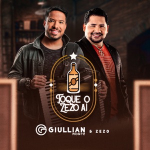 Toque o Zezo Aí - Single