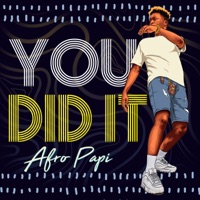 You Did It - Single - Afropapi