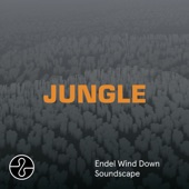 JUNGLE (Wind Down Soundscape) artwork