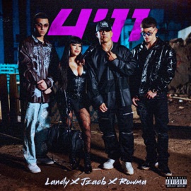 411 Landy, JZAEB & Rowma