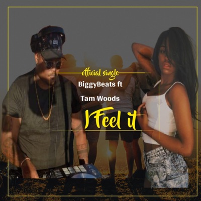 I Feel It (feat. Tam Woods) - Single