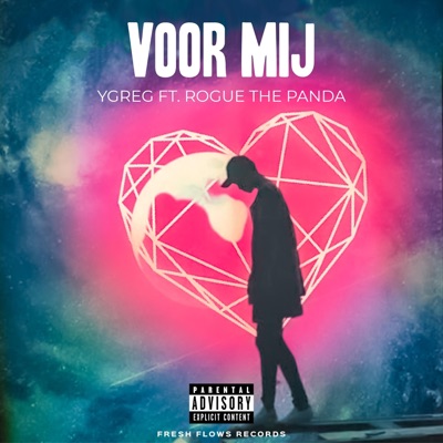 Voor Mij (feat. Rogue the Panda) - Single