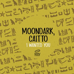 I Wanted You - Single