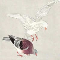 Pigeon (feat. andrew & Jesse the Tree) - Single - sleepingdogs