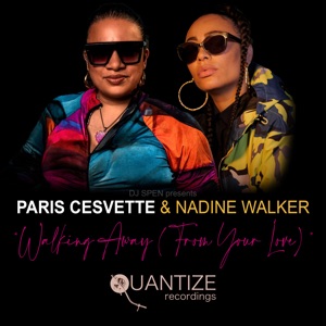 Walking Away (From Your Love) - Single