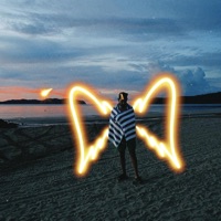 piso 38 - Single - Polarius