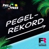 Pegelrekord - Single