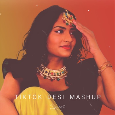 TikTok Desi Mashup (feat. 2NV) - Single