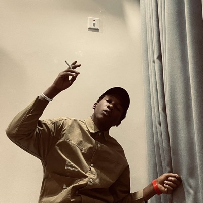 They not (feat. H.I.M the sage & Walzzthewizzard) - Single