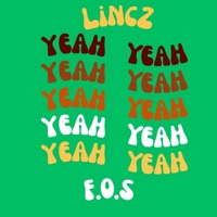Yeah Yeah (feat. F.O.S) - Single - LincZ