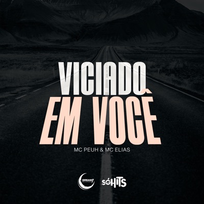 Viciado em Você (feat. DJ BR4 & DJ Karuso) - Single
