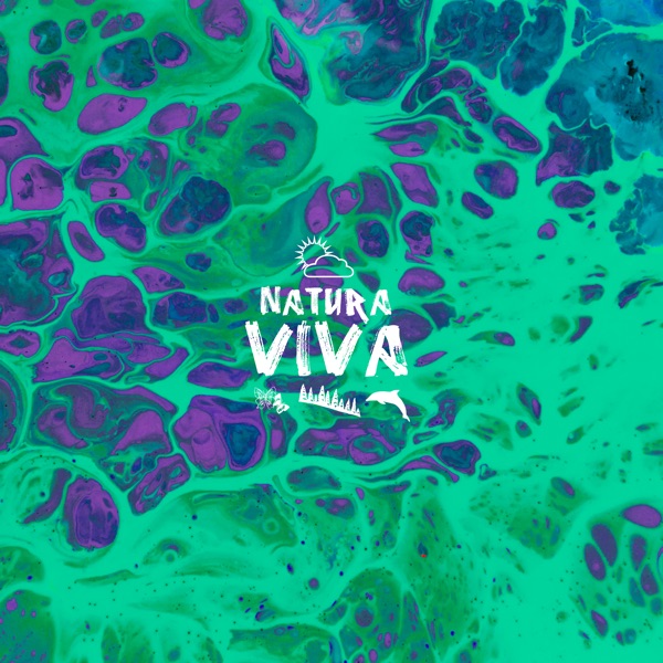 Arda - Single