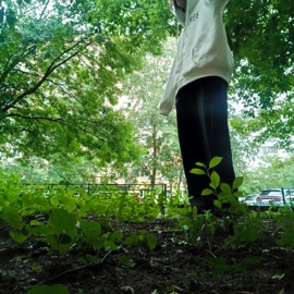 три погибели Owu