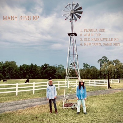 Two Time Bolo and Shakey Jake Present: Many Sins EP (feat. Shakey Jake)