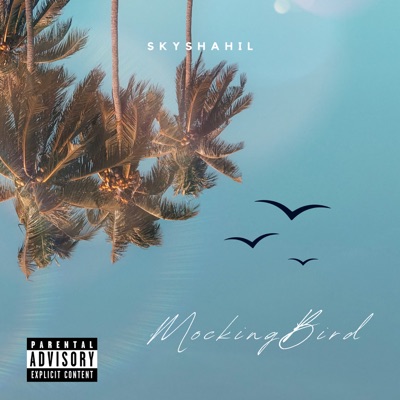 Mockingbird - Little Baby (Tiktok Version), Music World
