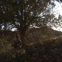 Burgeon - Single - Nicho