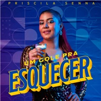 Um Gole pra Esquecer - Single - Priscila Senna