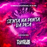 Senta na Ponta da Pica - Single - MC VN Cria, DJ MENO 011 & djalekoriginal