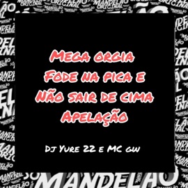 Mega Orgia Fode na Pica e Não Sair de Cima Apelaçao DJ Yure 22 & MC GW
