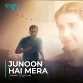 Junoon Hai Mera (Original Soundtrack From "22 Qadam") artwork