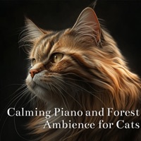 Calming Piano and Forest Ambience for Cats - Cat, Calm, Cat Music Relaxation & Cats Music Zone