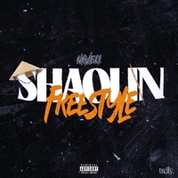 Shaolin - Single - Naveli
