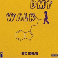 DMT Walk - Single - Epic Norlan